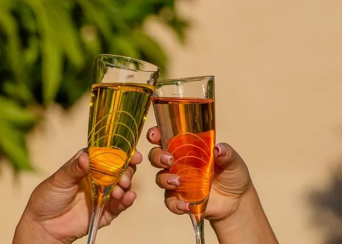 Hotel L' Escapade Hôtel&restaurant Le Pradet